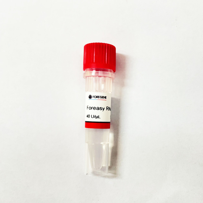 Chiny IVD Factory High Production Foreasy Inhibitor RNazy do ochrony RNA