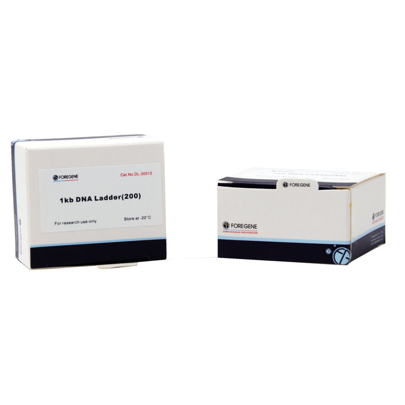 DNA Marker 2000 100 testów 500 μL Opakowanie 100bp-2000bp do elektroforezy