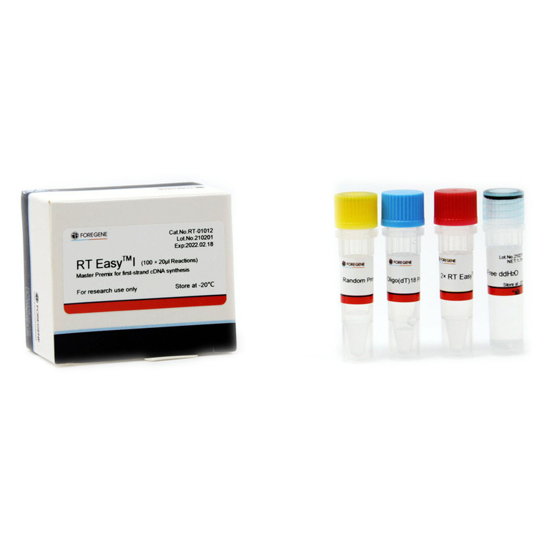 RT Easy I 2×High Efficiency PCR Reaction Premix System do badań laboratoryjnych
