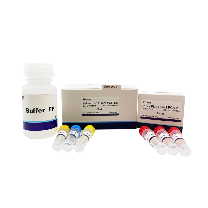 Wyższa specyficzność PCR System Zebra Fish Direct PCR Kit do bezpośredniej reakcji PCR