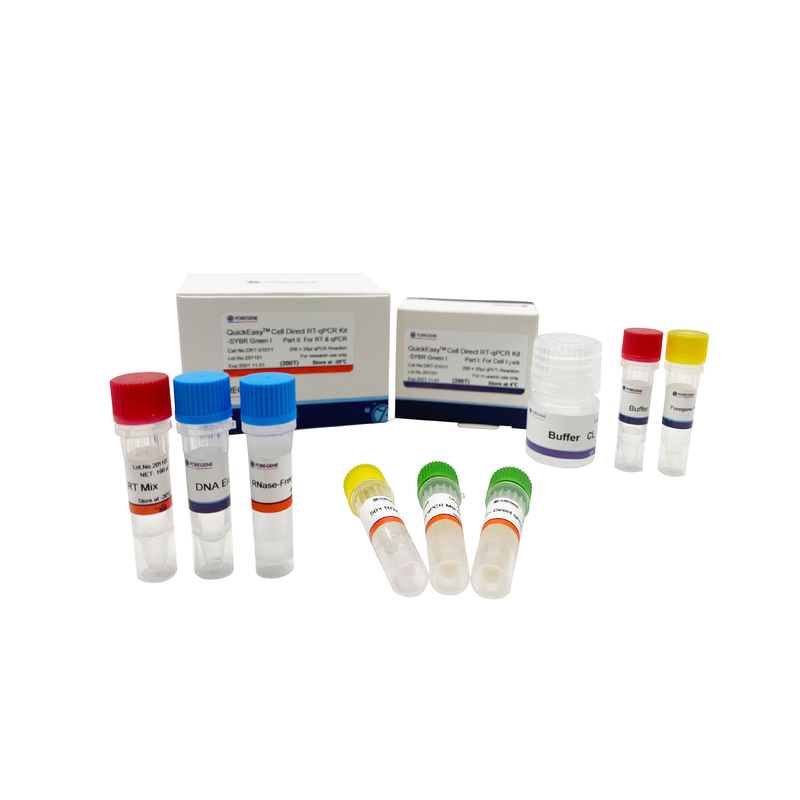 Bufor CL One Step RT QPCR Kit 200T 1000T bezpośrednio z hodowanych komórek RT-QPCR