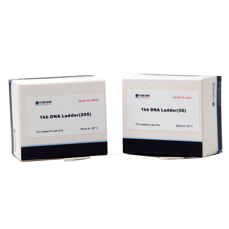 5% gliceryna 0,02% BPB 1kb DNA Ladder PCR Kits do badań laboratoryjnych